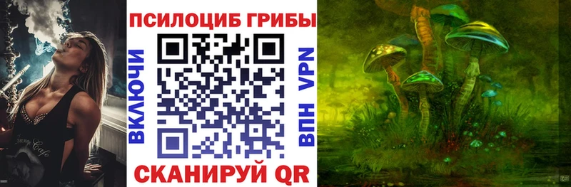 закладки  Архангельск  Галлюциногенные грибы Psilocybe 